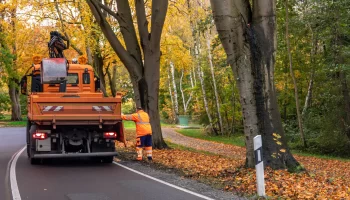 Orange service truck and a worker in high visibility clothing clear fallen leaves along a forest road, highlighting safety and infrastructure upkeep.